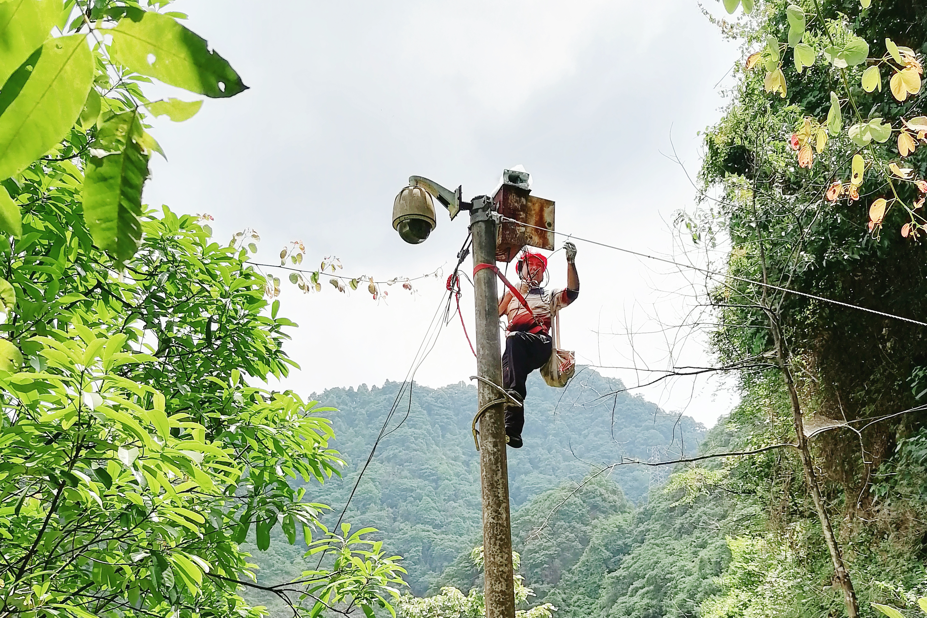 迎峰度夏，不懼“烤”驗——湖南發展以萬全準備打好迎峰度夏能源保供攻堅戰